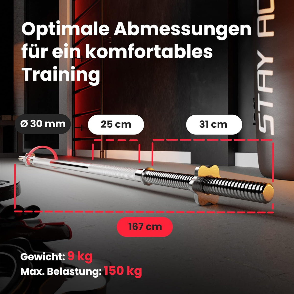 Klappbare Hantelbank mit Gewichten, Curlpult, Butterfly und Beincurler.